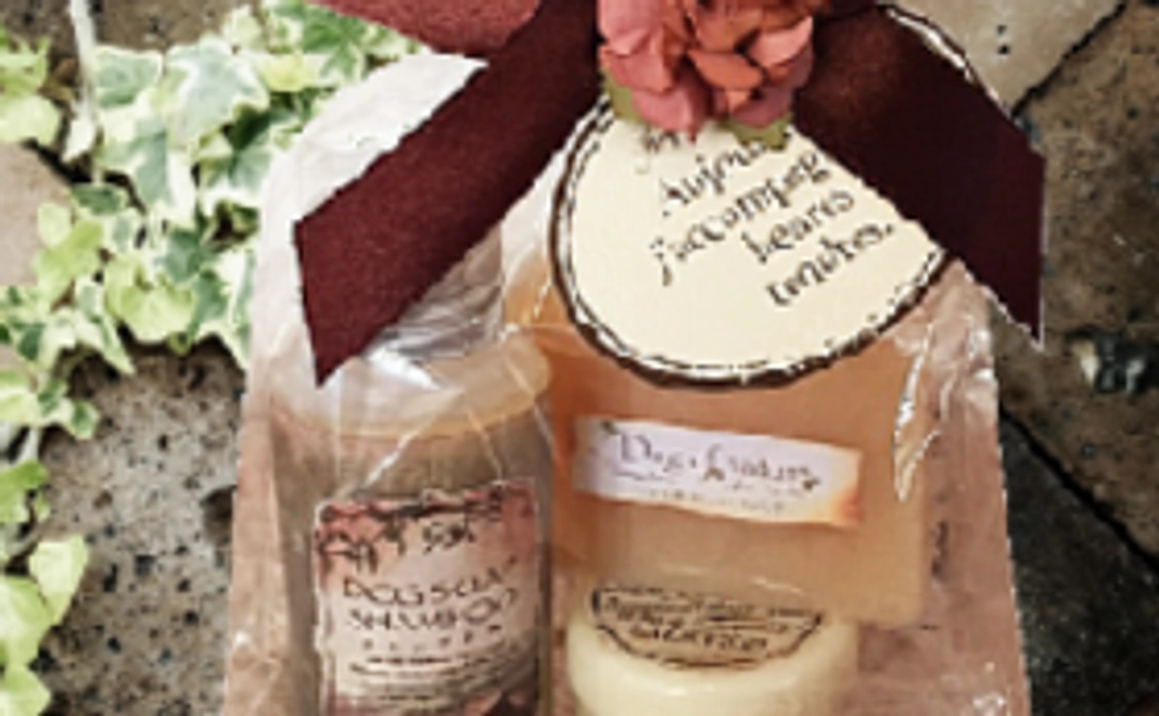 【限定5個限定コース】