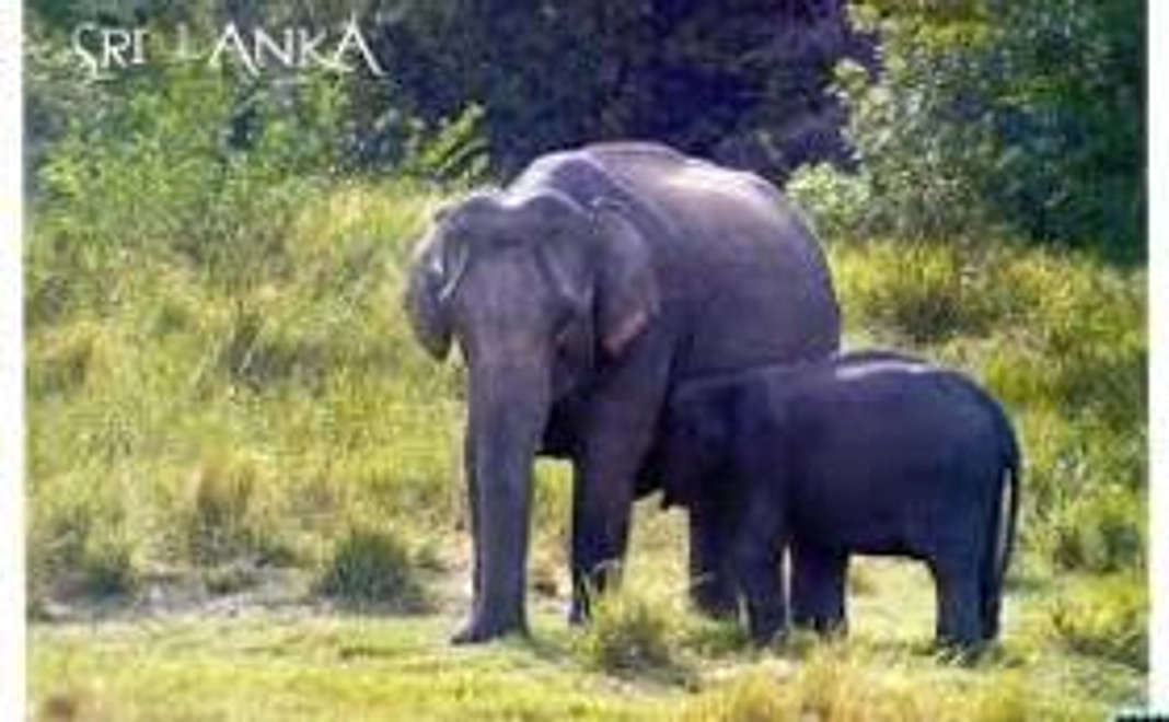 「子どもたち直筆のサンクスレター」