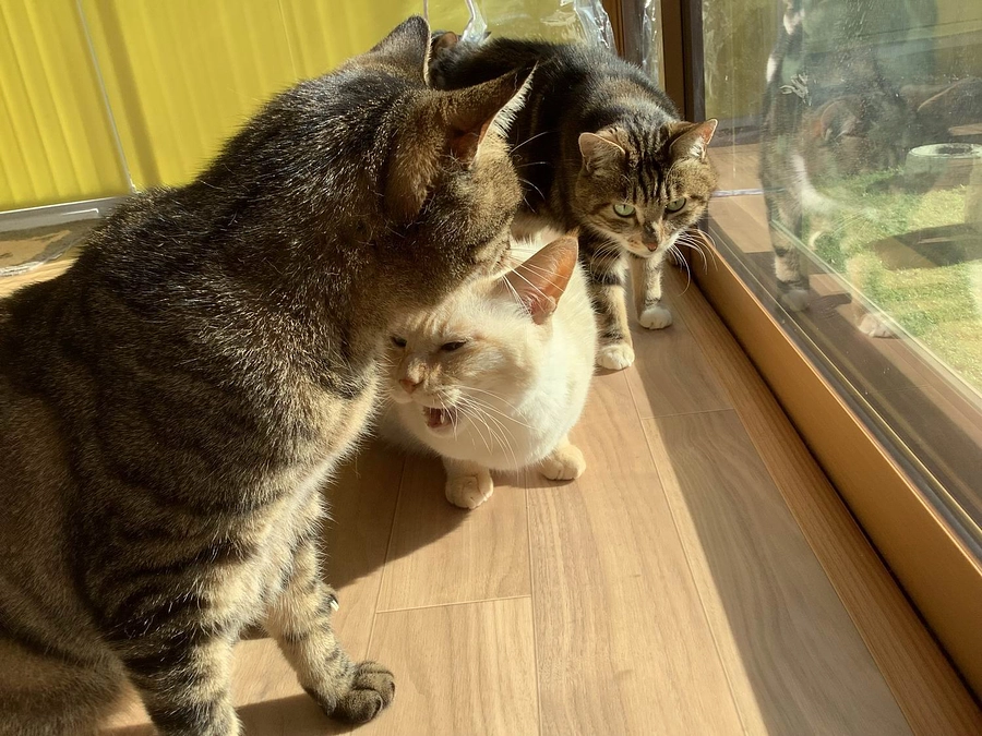 ネクストゴールを達成しました！！