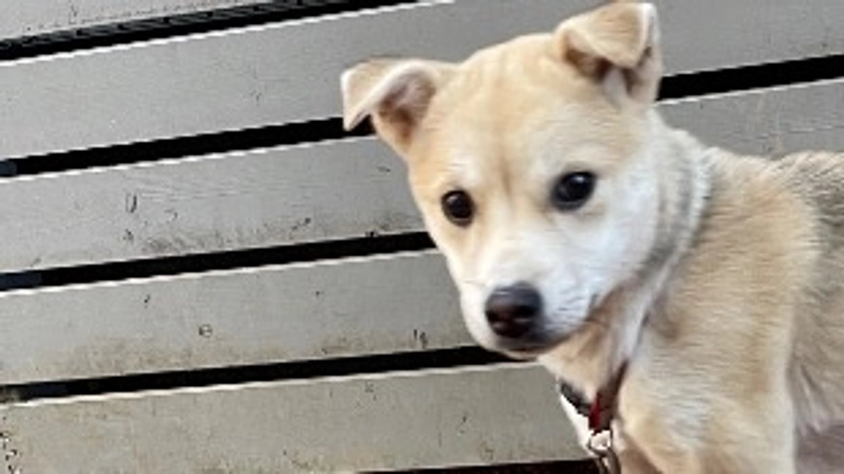 空き家購入に向けて…