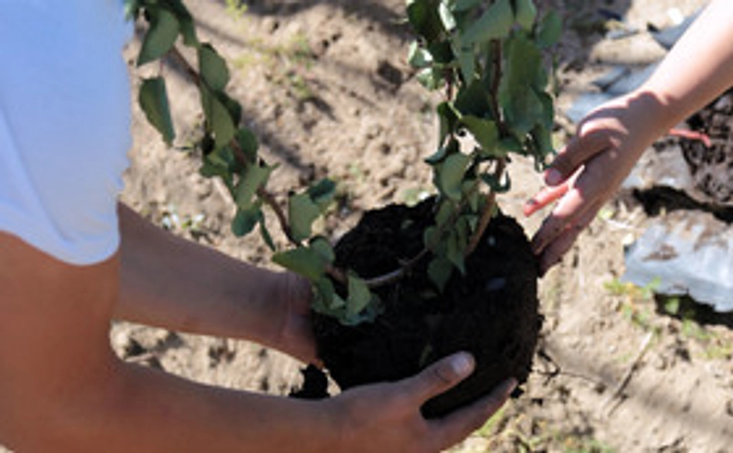 あなたの一口支援で砂漠化を阻止！