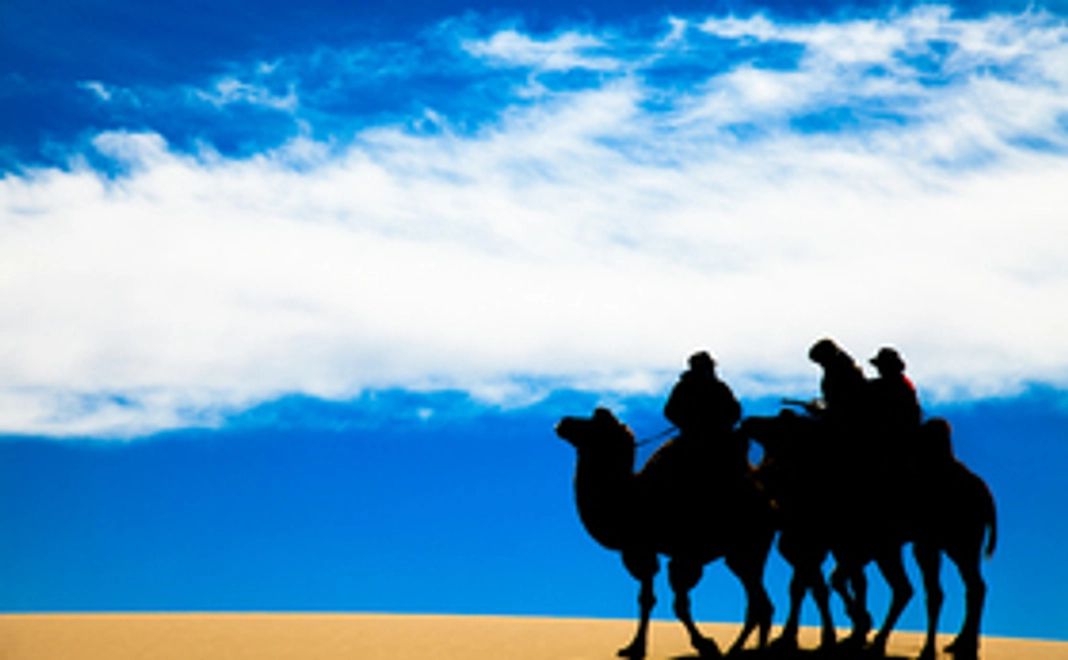 ゴビ砂漠に緑が２本増えます！
＋オリジナルステッカー【非売品】他