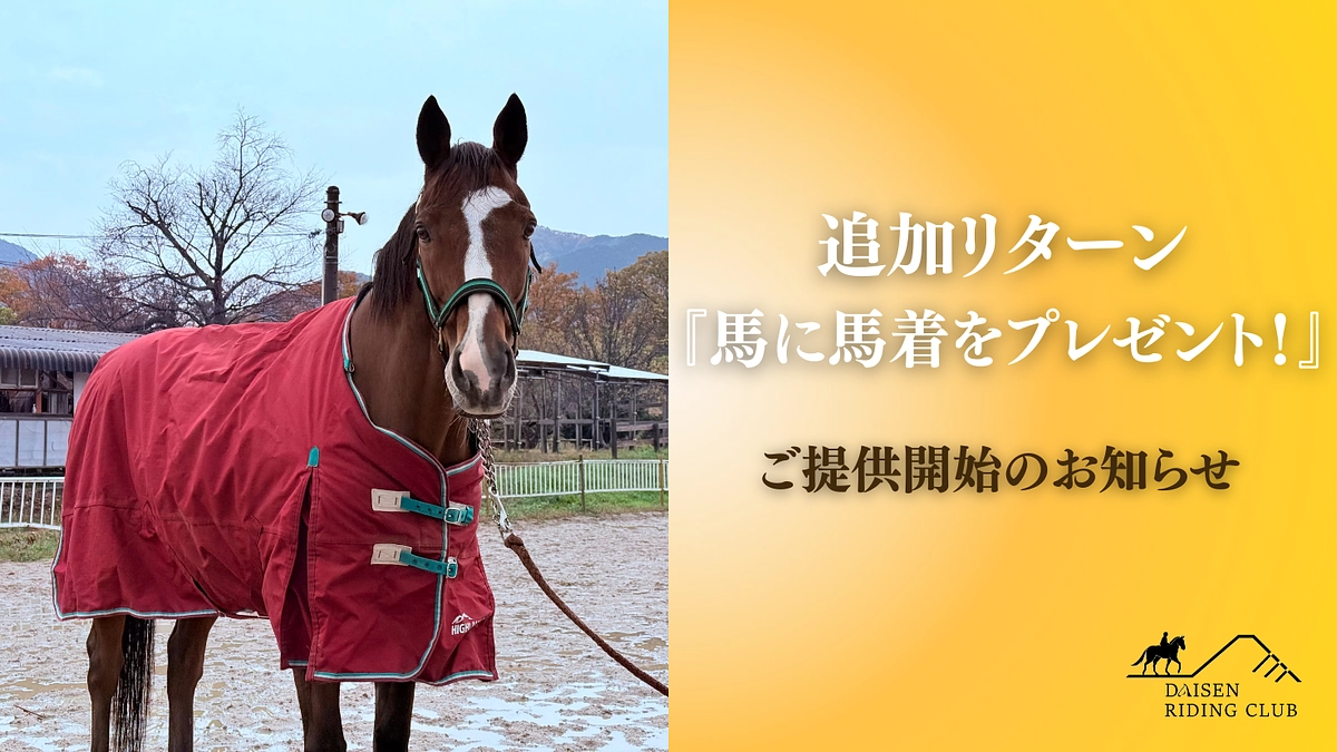 【追加リターン開始のお知らせ】