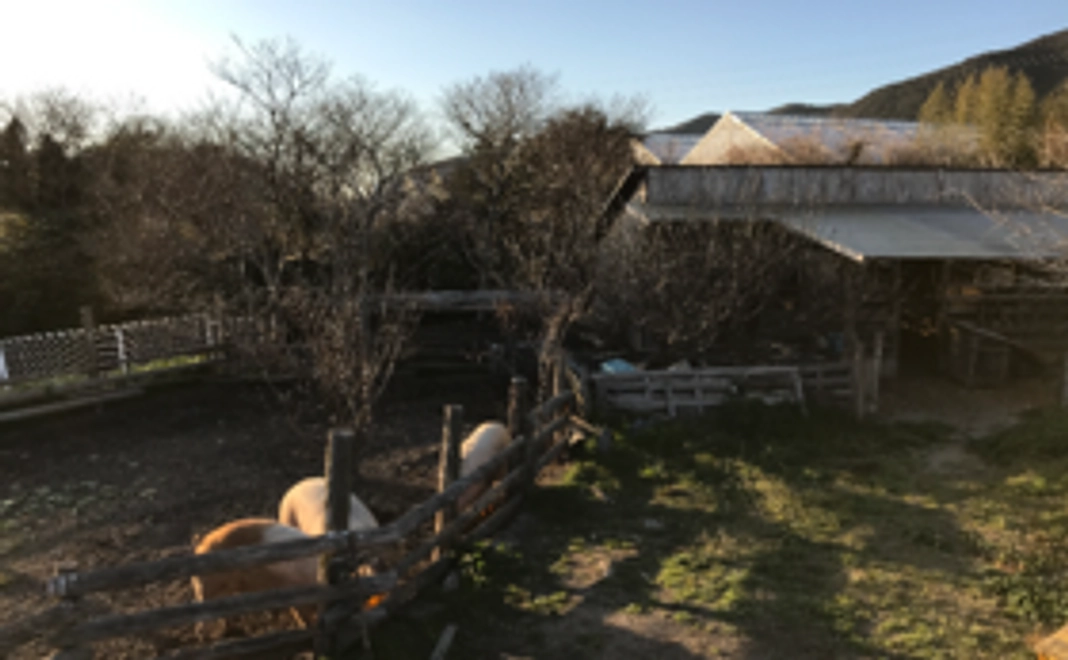 気軽に日帰りファーム体験!(参加不可の方へ:シフォンケーキ or ウインナーハムベーコンの3種盛)