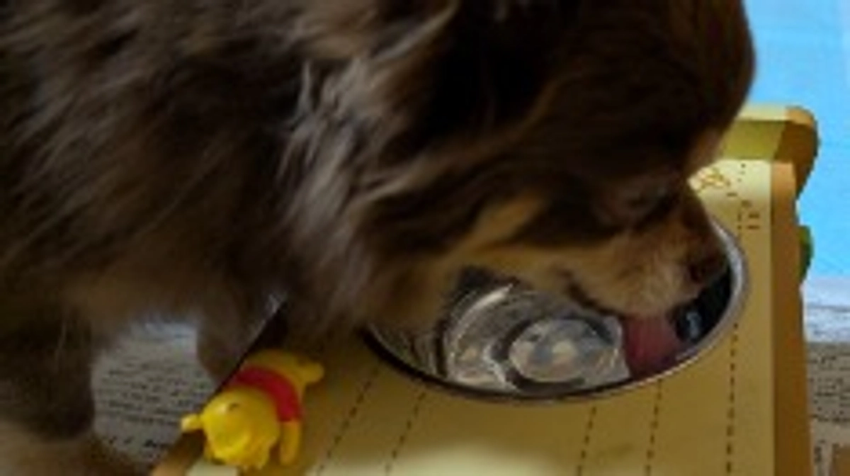 手術まで後3日❢