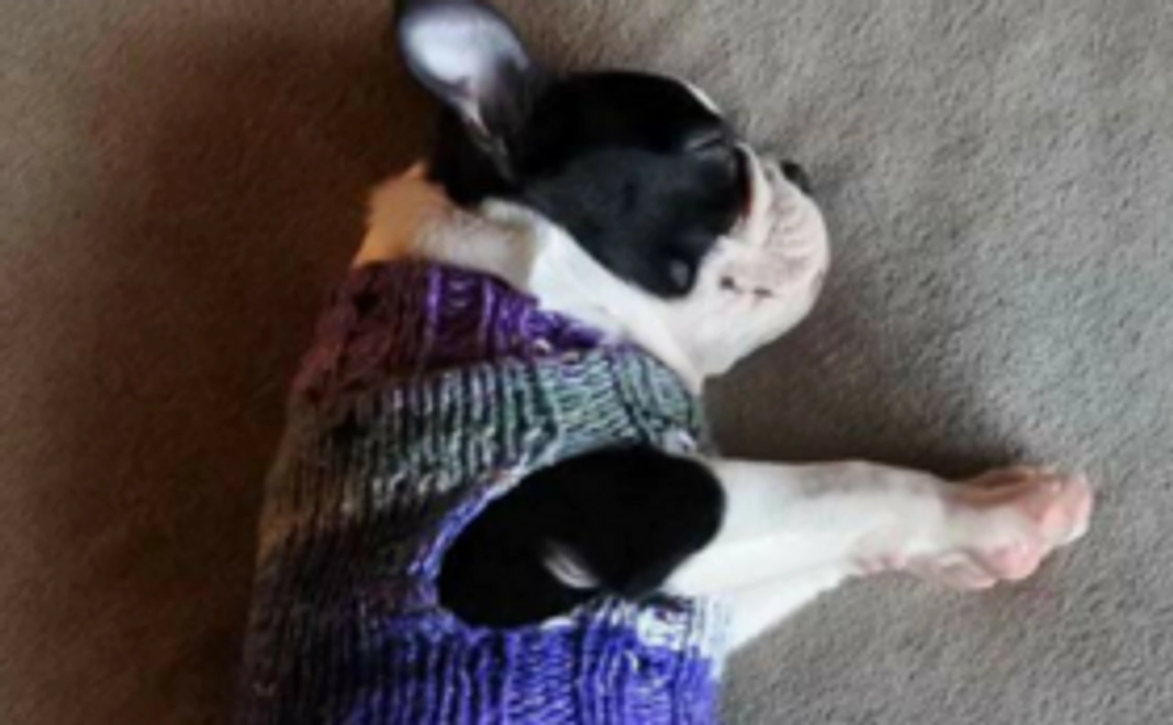 ベビーセーター