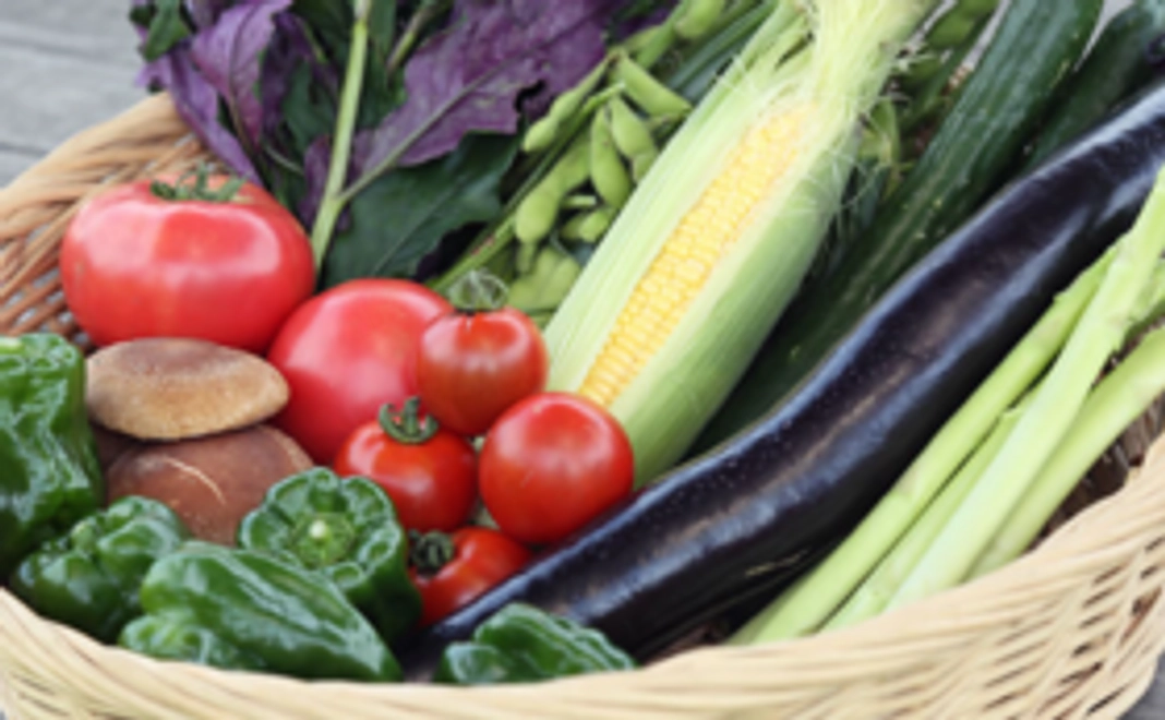 西原村産野菜セット