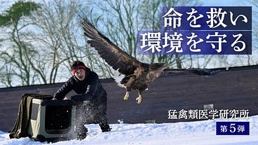 命を救い、環境を守る。みんなで紡ぐ、人と希少猛禽類の共生社会 のトップ画像