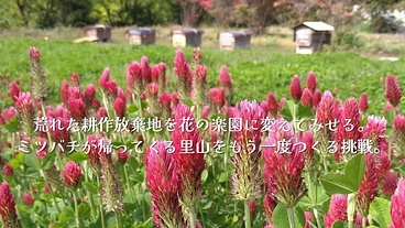 ミツバチが舞う里山を取り戻す！耕作放棄地を花畑に再生する挑戦 のトップ画像