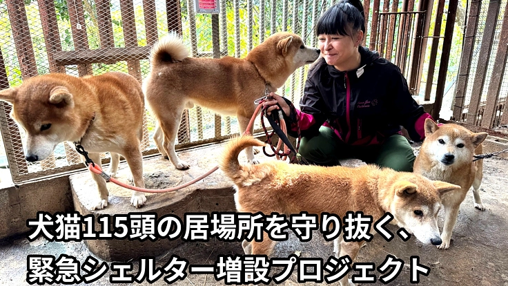 犬猫115頭の居場所を守り抜く、緊急シェルター増設プロジェクト