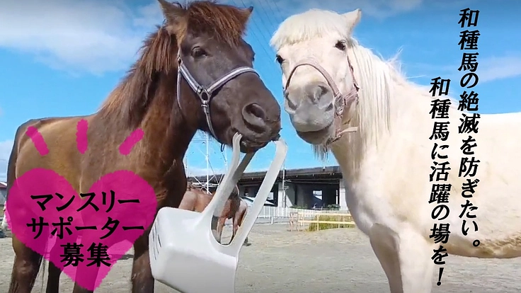 和種馬の絶滅を防ぎたい。和種馬に活躍の場を!