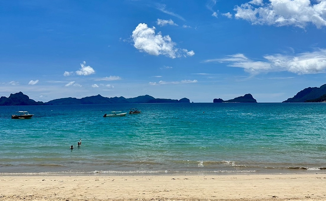 とにかく応援！プラン①