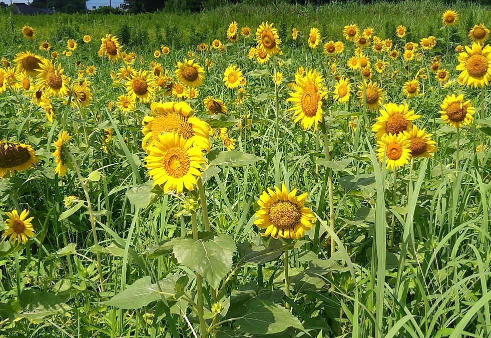 支援者の方からいただいた言葉で気づいた「本当のリターンの価値」について