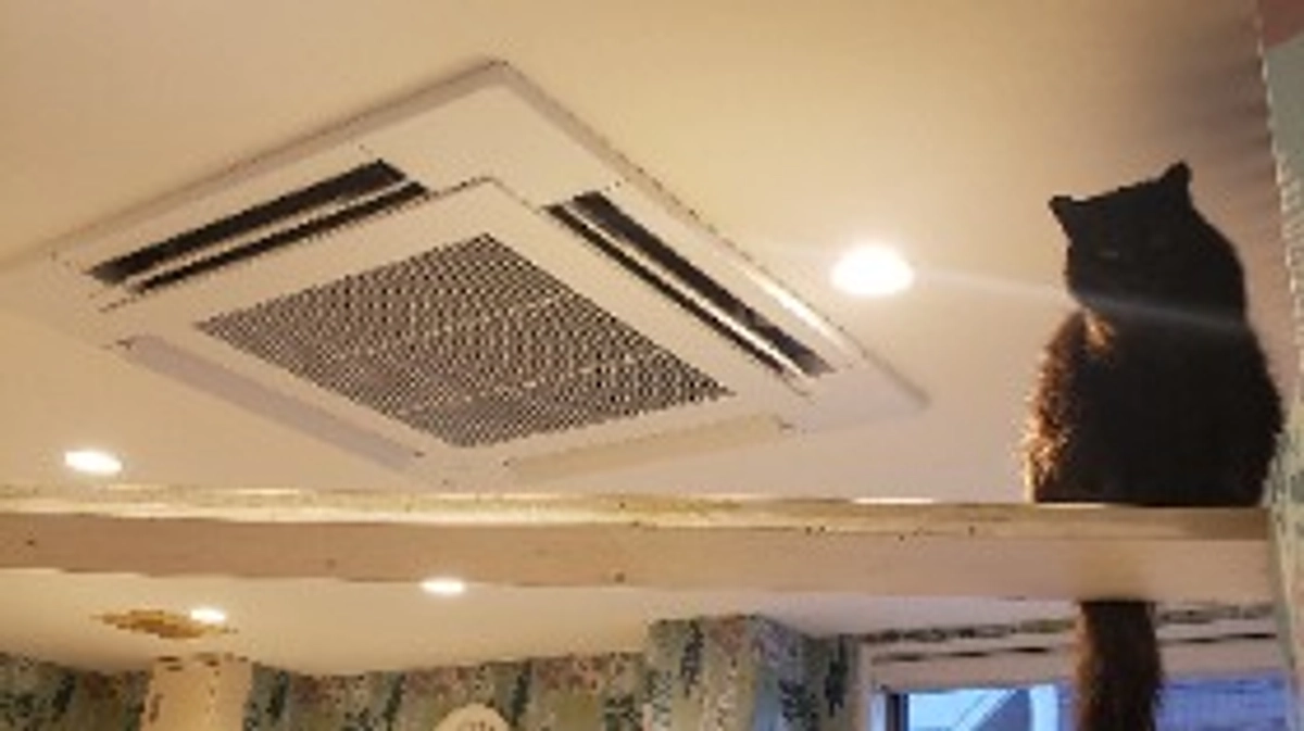 猫カフェの空調システム工事完了のご報告