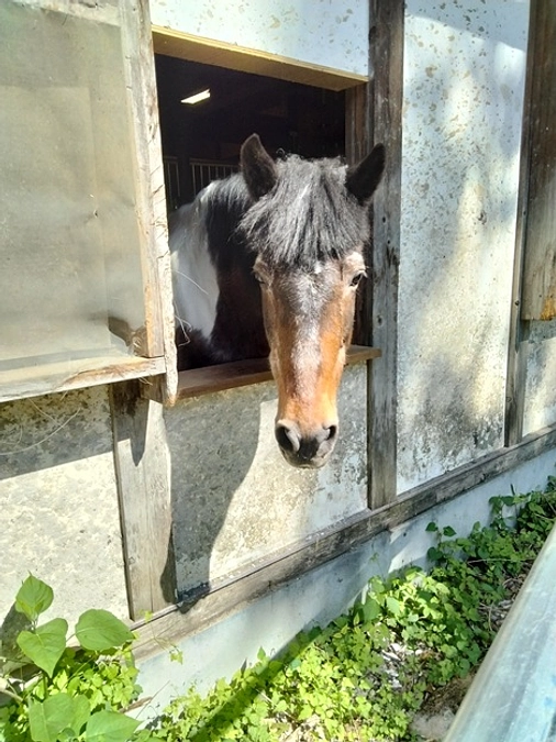 代理支援について 〜インターネットでのご支援が難しい方へ〜