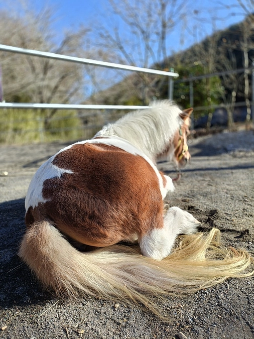 本日12時プロジェクトが公開されました！
