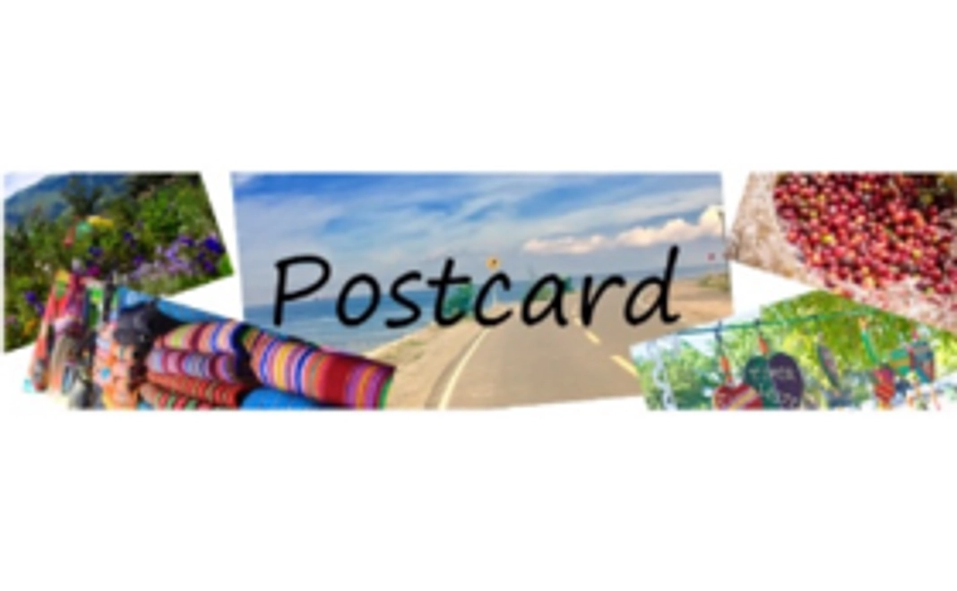 【3000円コース】