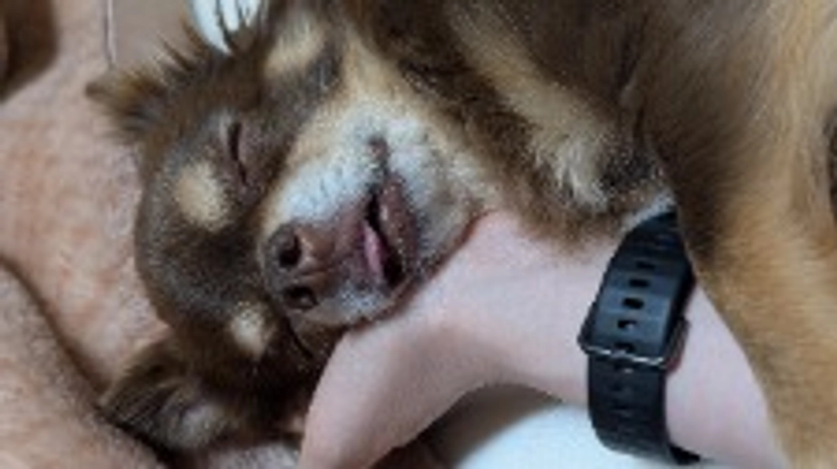 手術まで明後日です❢