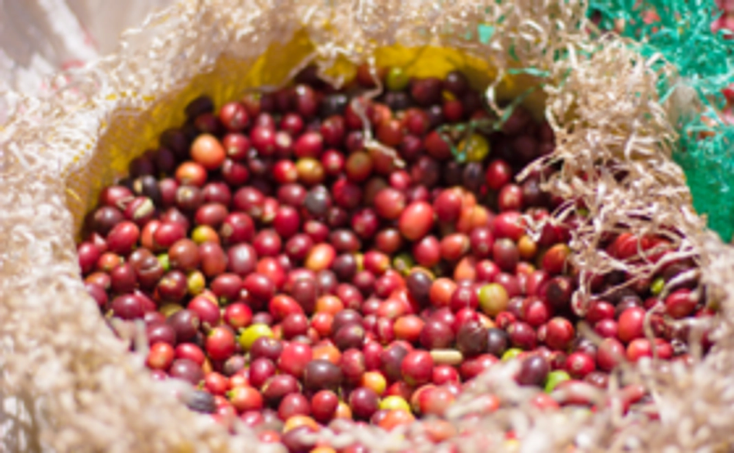 【10000円コース】ポストカードとコーヒーセット