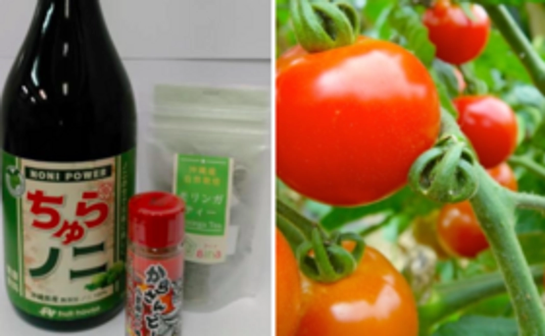 🍅 ミニトマトと畑ハウスのオススメセット 🍅