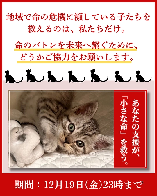 NPO法人くすのきから、皆様へ再度のお願い。