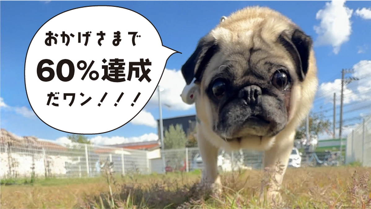 目標金額の60%を達成しました！