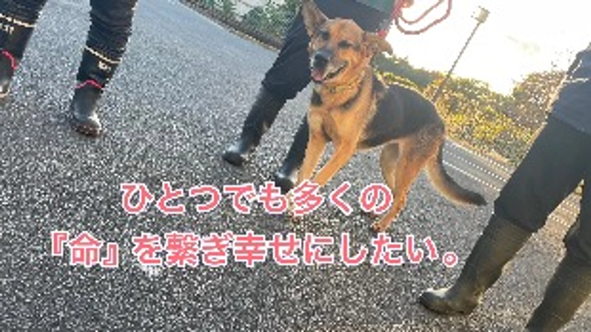 空き家について