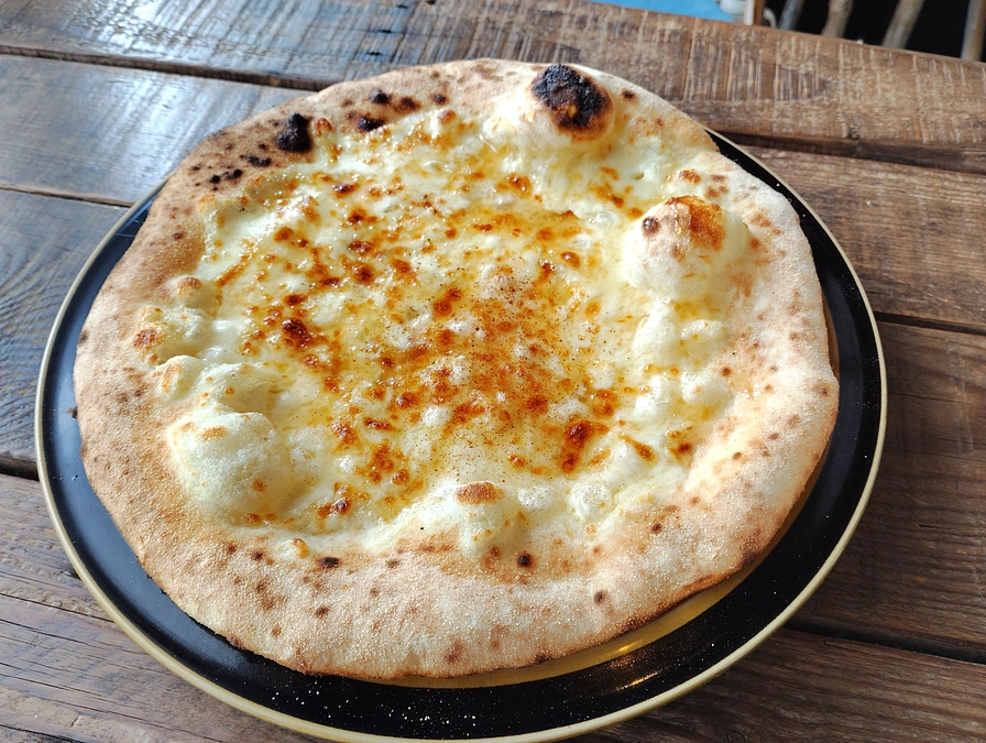 【2日目】支援9名・30万円突破。応援が本当に力になっています。