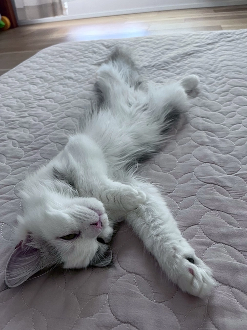 残り10日となりました！