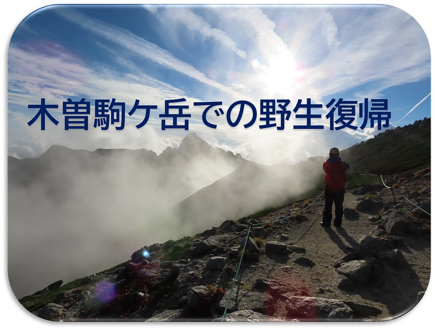 野生復帰事業における動物園の挑戦　放鳥後調査結果について