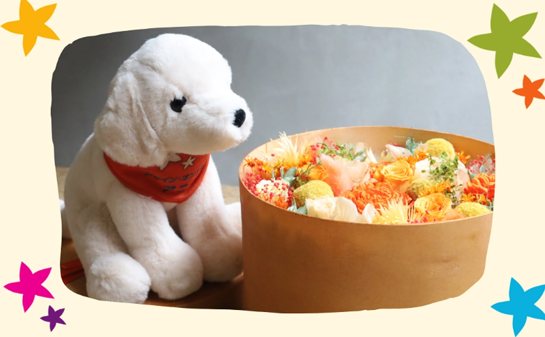 オリジナル プリザーブドフラワーボックスセット【税制優遇対象外】