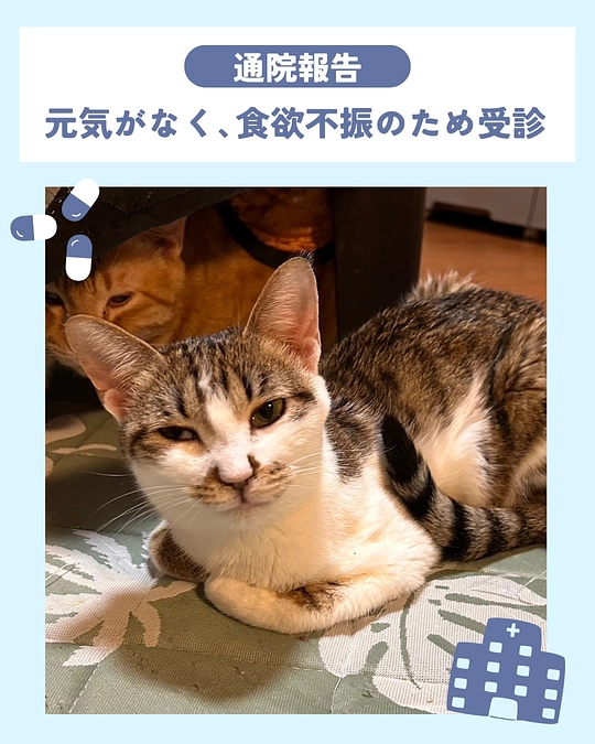 まさか、再発⁉️😰