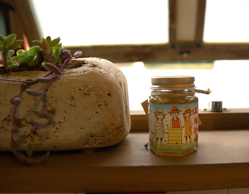 【活動報告】小さな命に背中を押された日