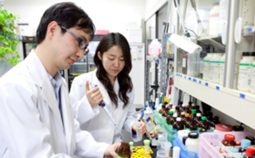 【お名前の掲示と感謝の気持ちをお届けします!】