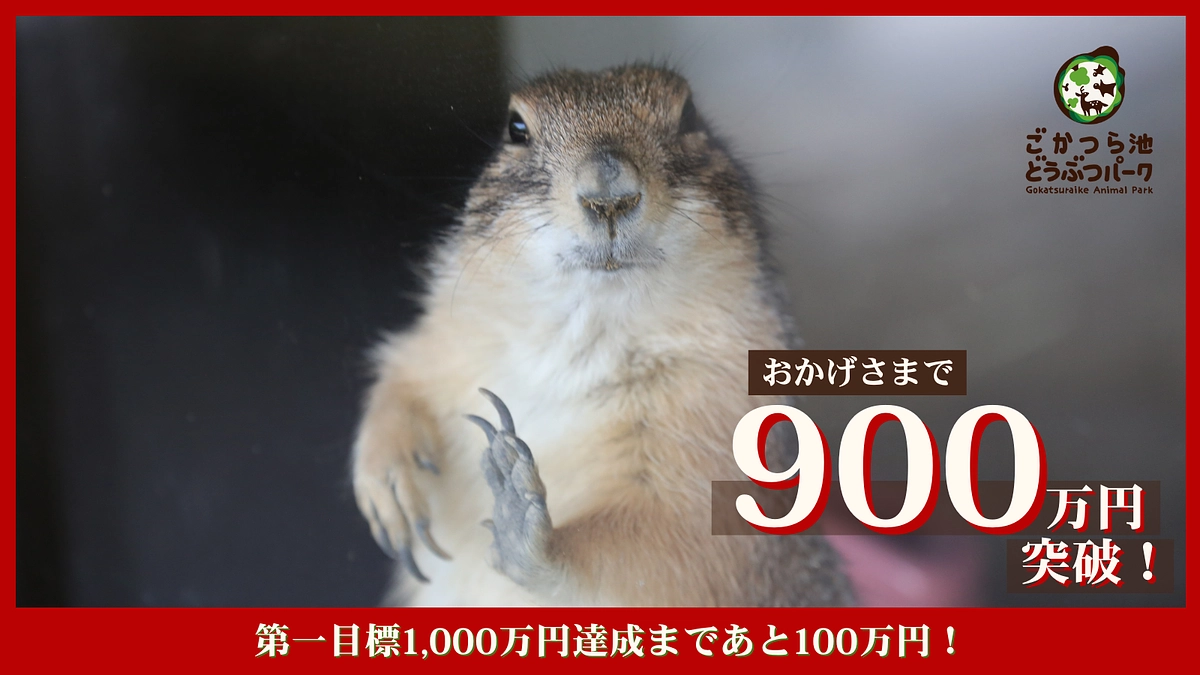 目標金額の90％を達成しました！！まもなく第一目標達成です！！！