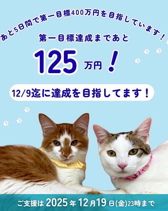12/9（火）迄に第一目標【400万円】達成を目指しています🙇‍♀️💦