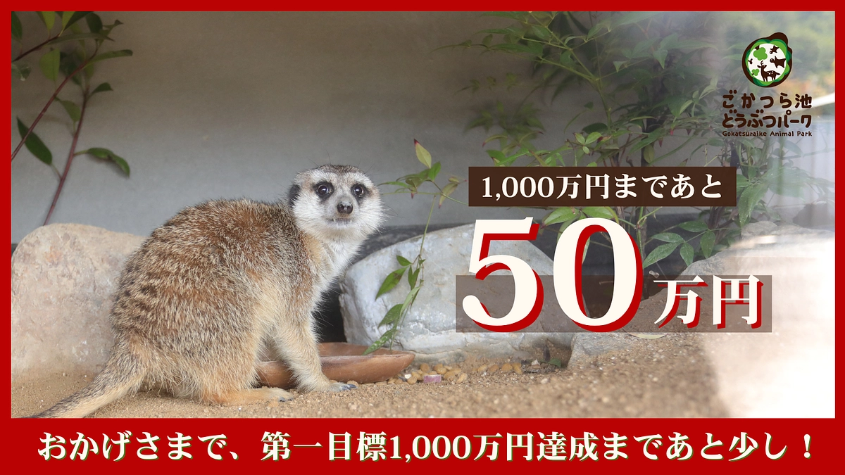 おかげさまで、第一目標の1,000万円達成まであと少しとなりました！！！