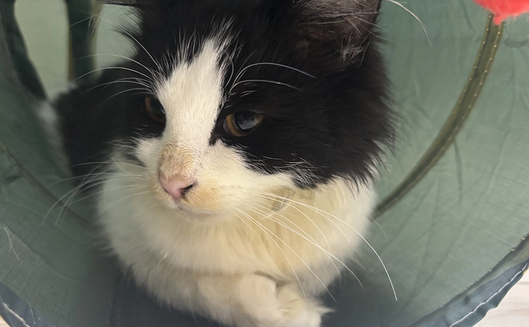 感謝のメール10