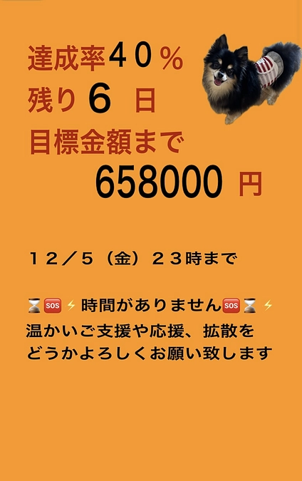 活動報告（インスタ転載）