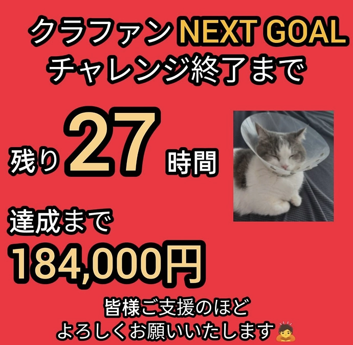 残り27時間‼️