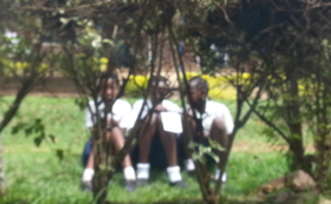 子どもたちからのメッセージ