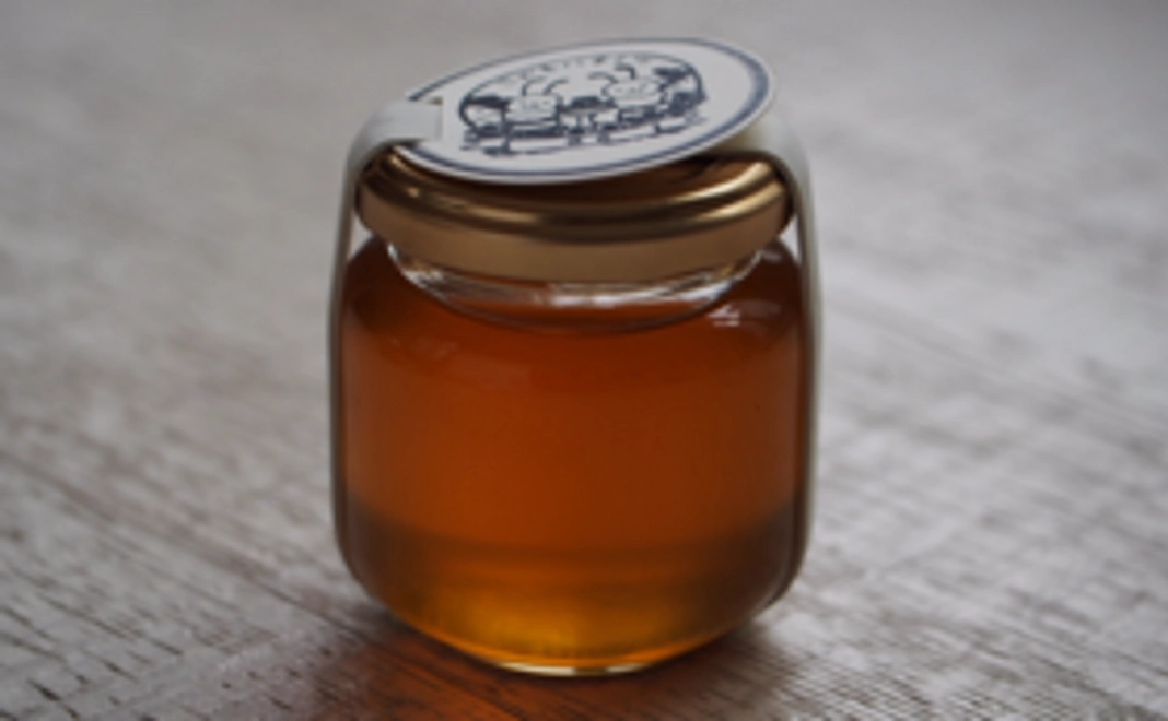 ≪建長寺2015 ”夏” の蜜≫