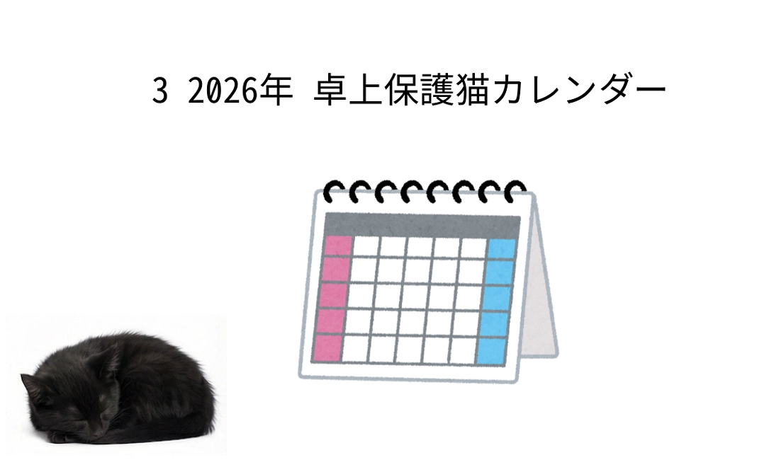 3 2026年 卓上保護猫カレンダー