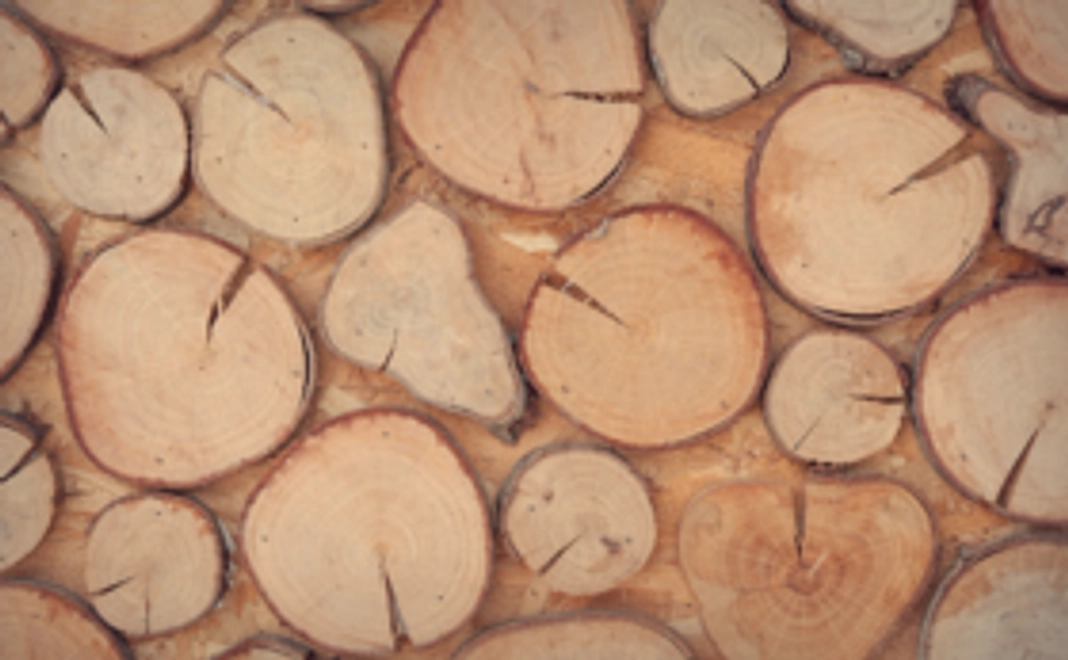 完成したコミュニティに支援者様の名札