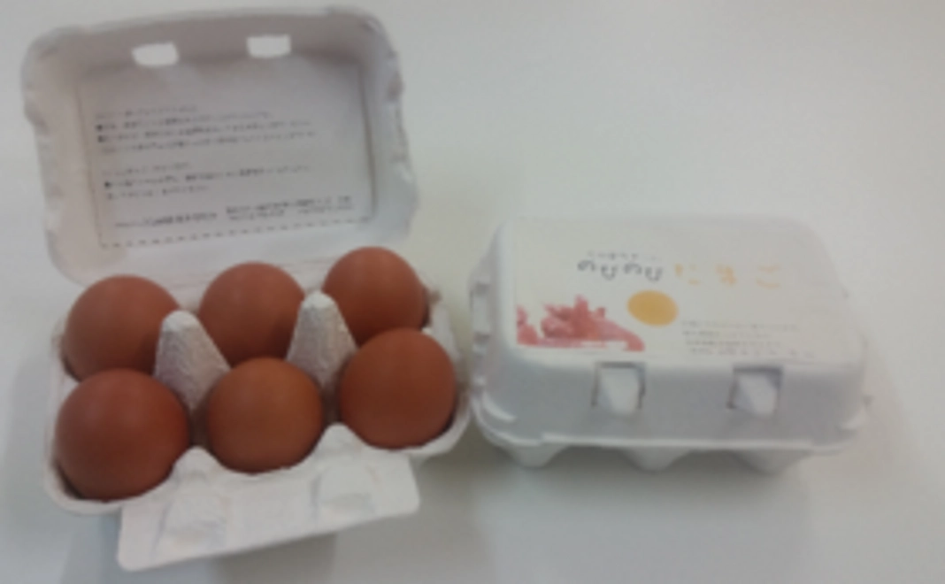 卵かけご飯にも最適！　卵と無農薬野菜の詰め合わせ