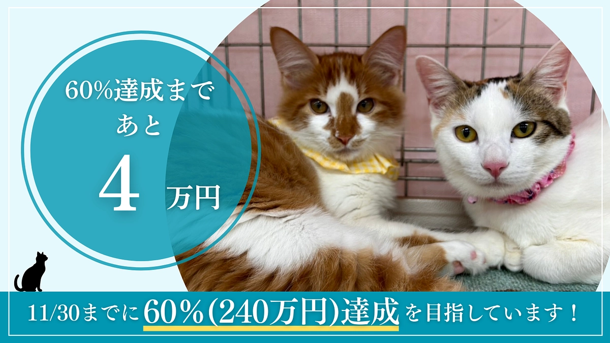 あと16時間…⏰💦