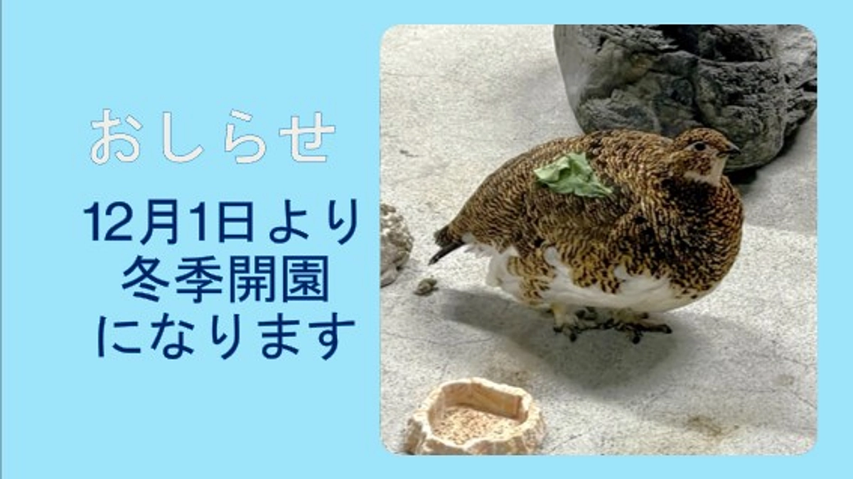 ファミリーパークお知らせ