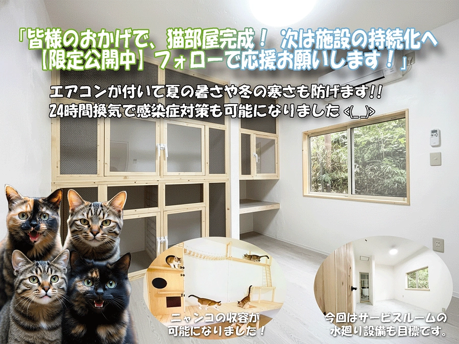 次回プロジェクトの詳細をお知らせします。新たな展開の概要