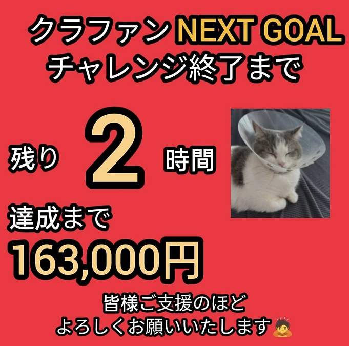 残り2時間‼️最後のお願い