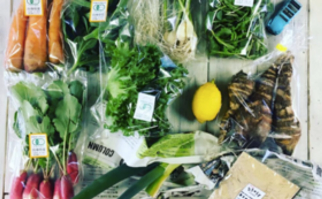 【おすすめ】クラウドファンディング限定・CSAパック(3回分)